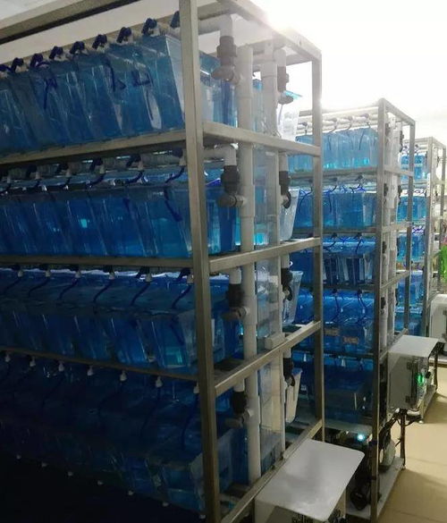 化妝品工廠又多了一個 硬通貨