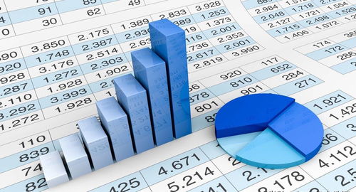 數(shù)據(jù)分析崗位與編程語(yǔ)言 信息技術(shù)咨詢服務(wù)中的必備技能探析